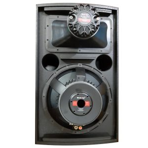 Loa bass 30 cm và loa Treble motivity mv12